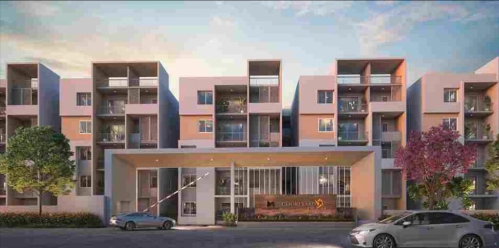 whatsapp image 2025 12 10 at 17.53.19