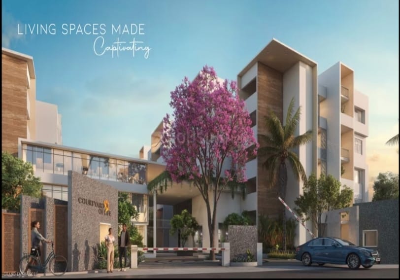 whatsapp image 2025 12 10 at 17.53.20 (1)