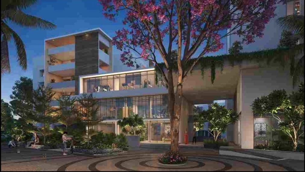 whatsapp image 2025 12 10 at 17.53.22 (2)