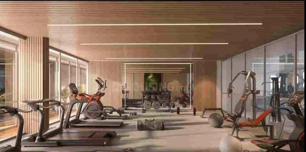 whatsapp image 2025 12 10 at 17.53.24